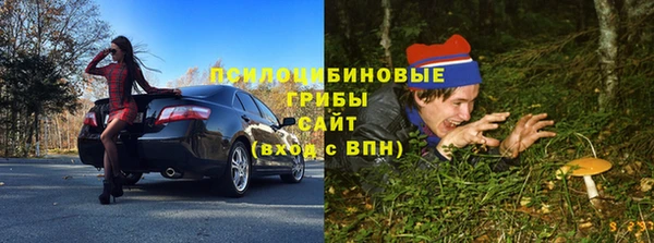 амф Алзамай
